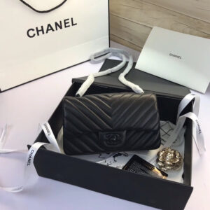 CL FLAP BAG-20CM