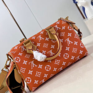 LOUIS VUITTON SPEEDY 25
