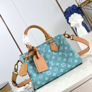 LOUIS VUITTON SPEEDY 25